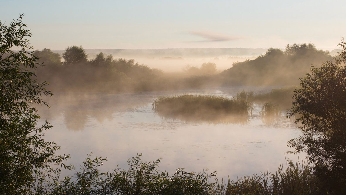 Chicago marsh